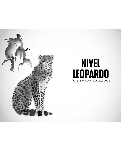 Cinturón negro de la vida: Cómo las artes marciales nos enseñan a vivir plenamente (Capa mole) 6