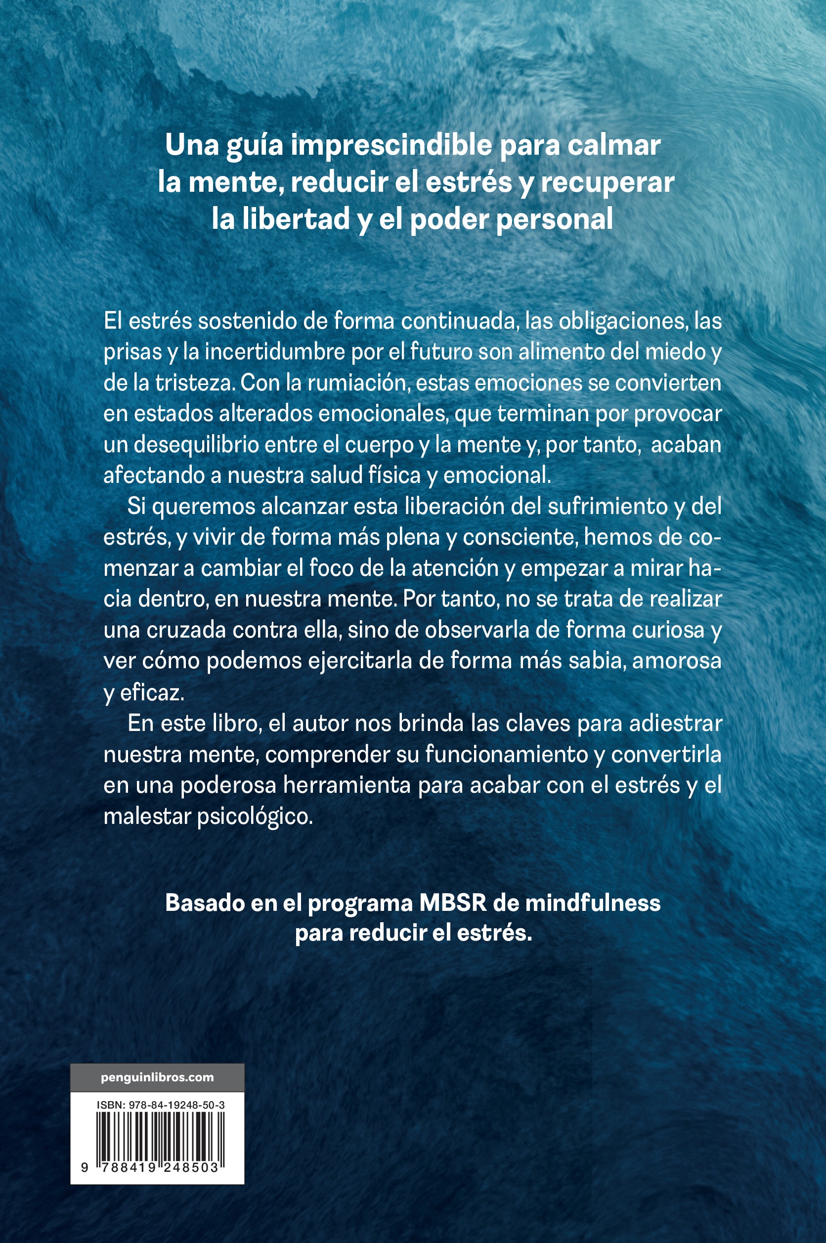 Vivir sin estrés: Conecta con tu sabiduría a través del mindfulness (Capa mole) 2