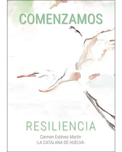 Comenzamos 1