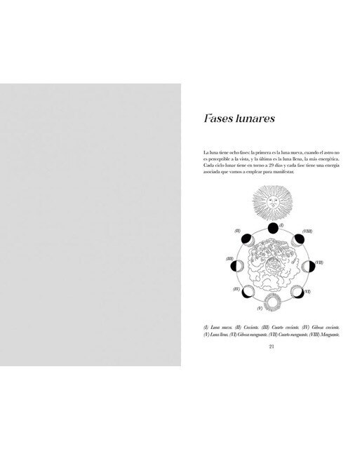 Diario de manifestación  (Tapa dura) 3