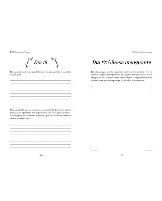 Diario de manifestación  (Tapa dura) 5