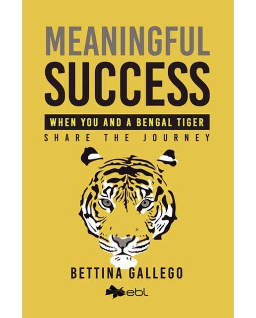 Meaningful success 1