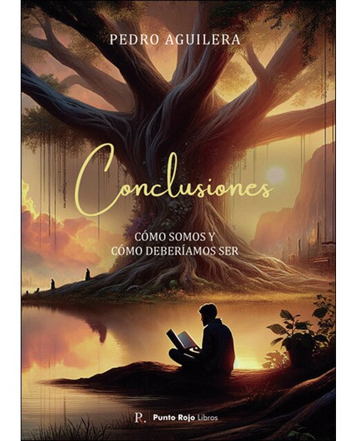 Conclusiones
