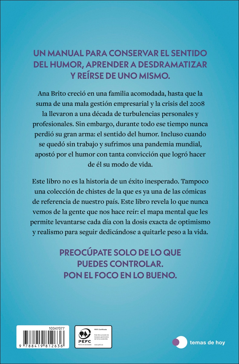 El lado bueno de las cosas (Capa mole com abas) 2