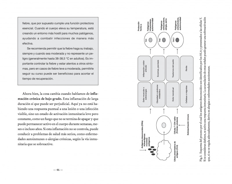 Vive sin inflamación: Identifica las causas, equilibra tu sistema inmune y activa tu salud (Capa mole) 2
