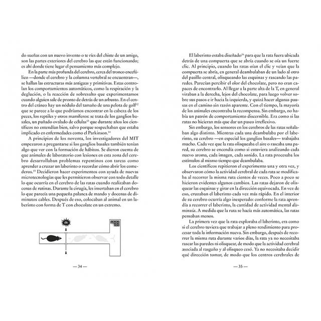 El poder de los hábitos (edición limitada): Por qué hacemos lo que hacemos en la vida y en el trabajo (Bolso) 6