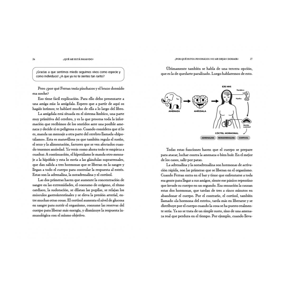 EL CEREBRO DE LA GENTE FELIZ  (Bolsillo Capa Mole) 2