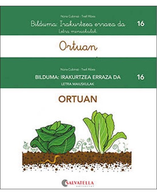 Ortuan (Capa mole) 1