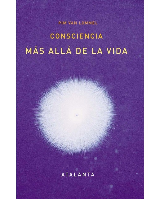 Imagen 0 de Consciencia más allá de la vida