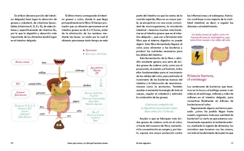 Dime qué comes y te diré qué bacterias tienes (edición limitada · Verano): El intestino, nuestro segundo cerebro (Bolso) 5