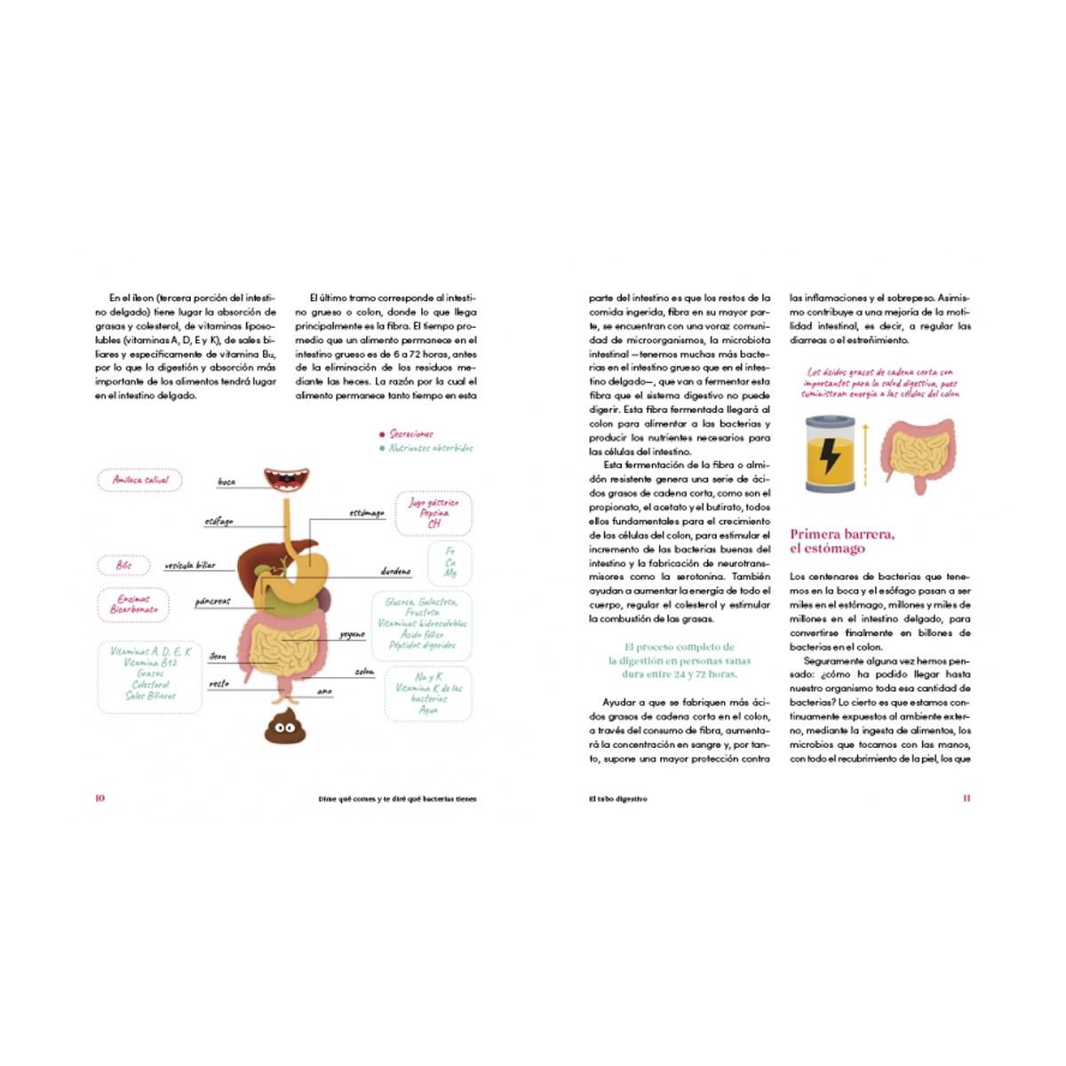 DIME QUÉ COMES Y TE DIRÉ QUÉ BACTERIAS T  (Bolsillo Capa Mole) 2