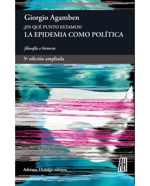La epidemia como política. ¿en qué punto estamos?(Tapa blanda) 1