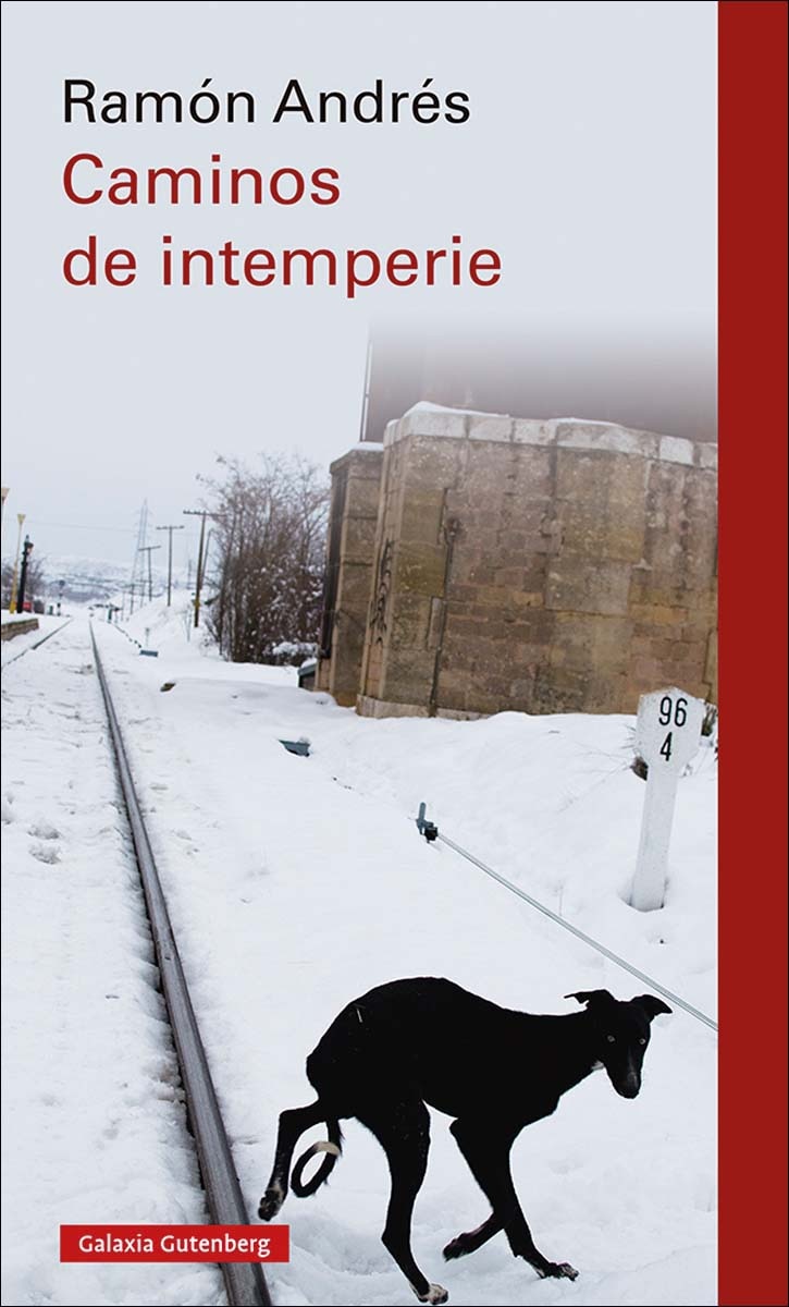 Imagem 0 de Caminos de intemperie(Tapa dura)