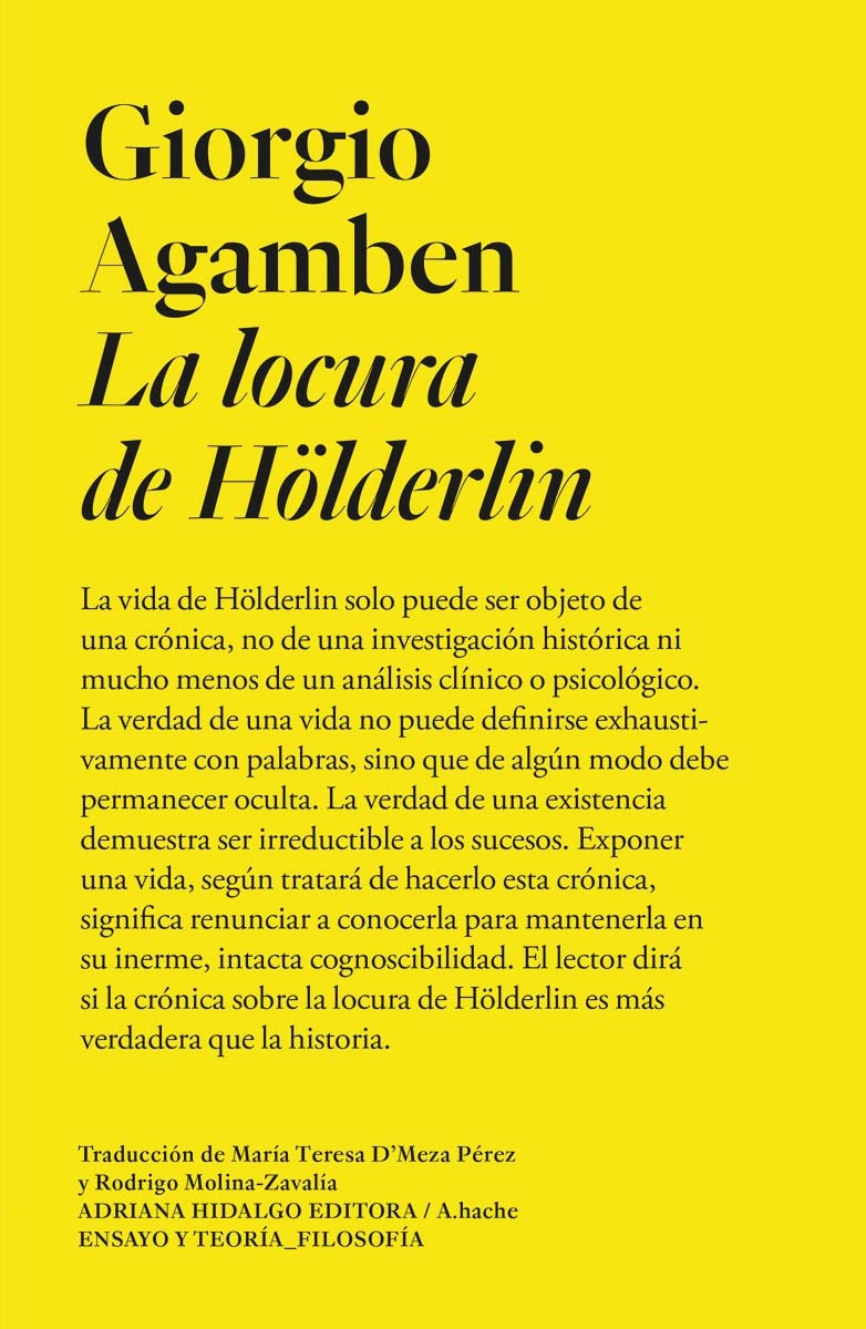 La locura de hölderlin(Tapa blanda) 1