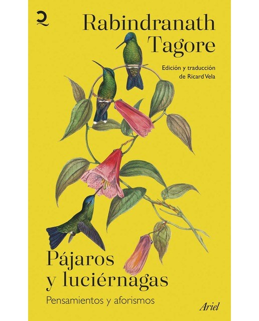 Pájaros y luciérnagas (Capa mole com abas) 1