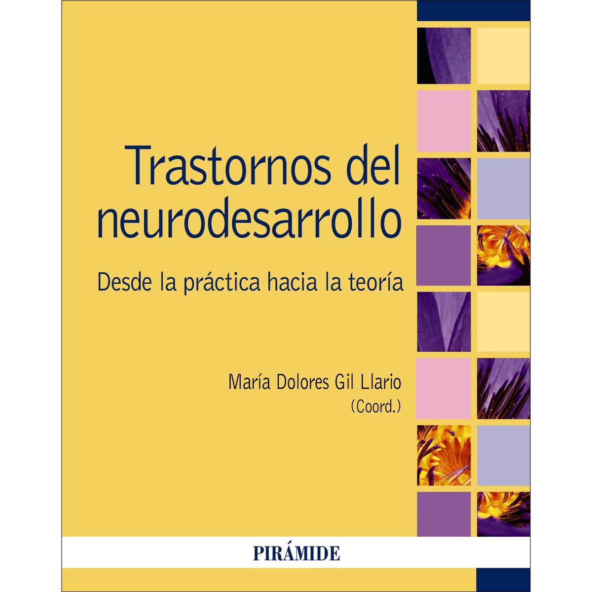 Imagem 0 de Trastornos del neurodesarrollo: Desde la práctica hacia la teoría (Capa mole com abas)