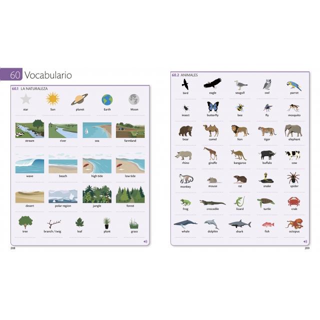 English for Everyone - Libro de estudio (nivel 3 Intermedio): Curso completo de autoaprendizaje  (Tapa blanda) 7
