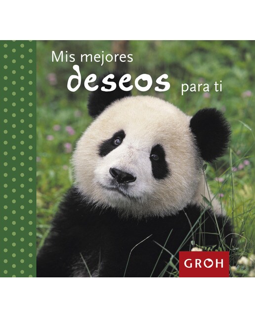 Mis mejores deseos para ti