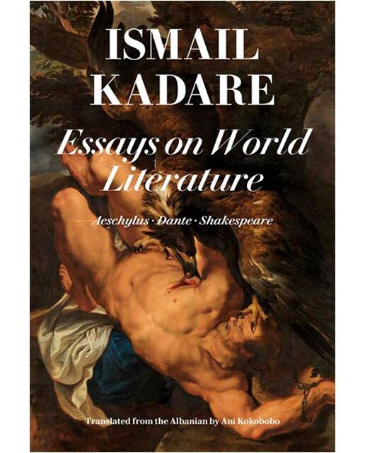 Essays On World Literature 1