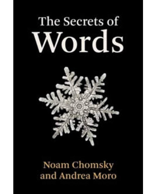 The secrets of words