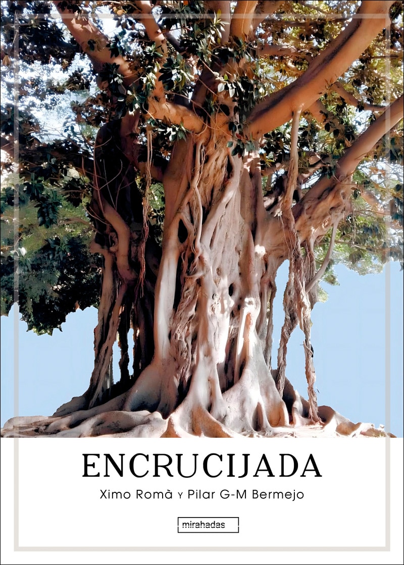 Encrucijada (Capa mole com abas) 1
