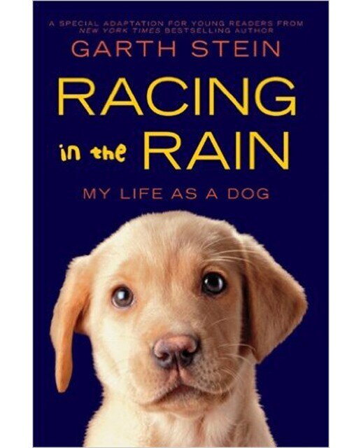 Imagem 0 de Racing In The Rain
