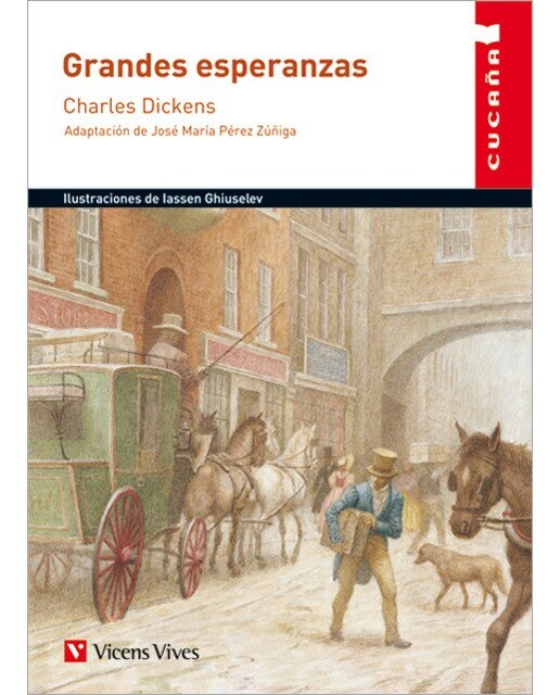 Grandes Esperanzas (Capa mole) 1