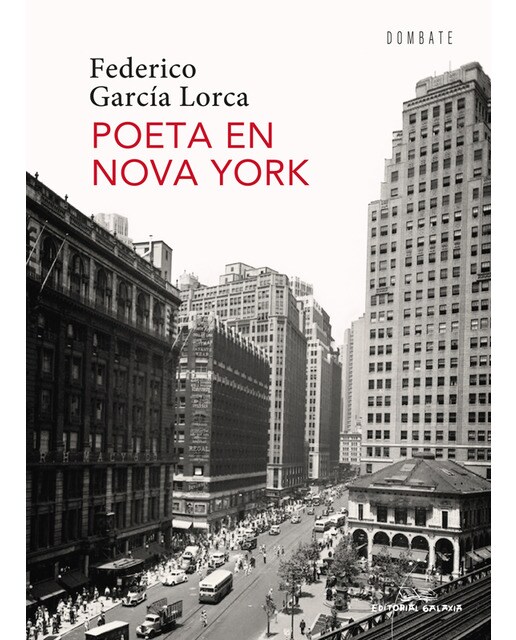 Poeta en Nova York (Capa mole com abas) 1