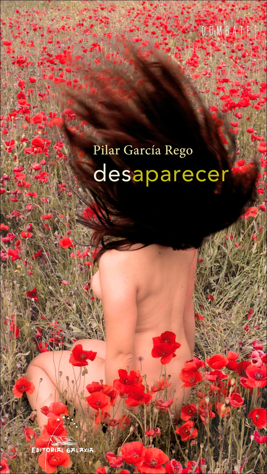 Desaparecer (Capa mole com abas) 1