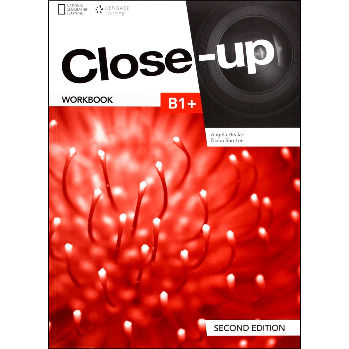 Close Up B1+Wb 1