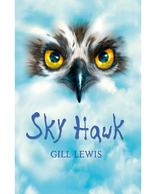 Rollercoasters: Sky Hawk: Gill Lewis (Capa mole) 1