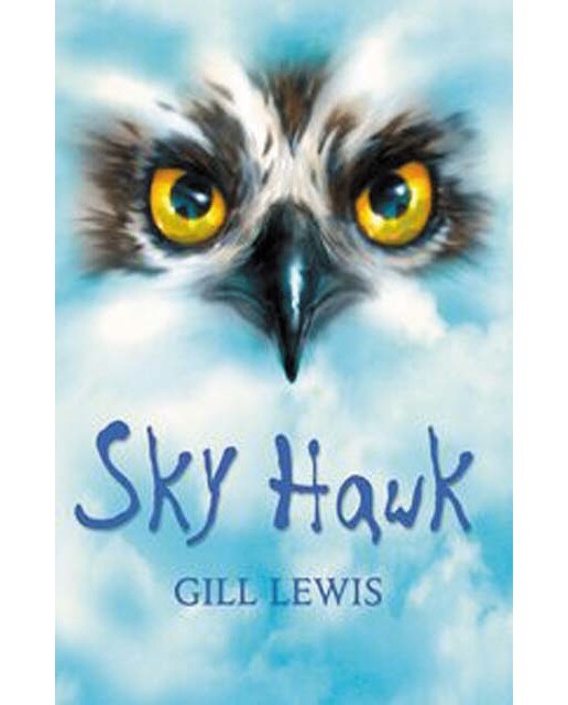 Rollercoasters: Sky Hawk: Gill Lewis 2021 (Capa mole) 1
