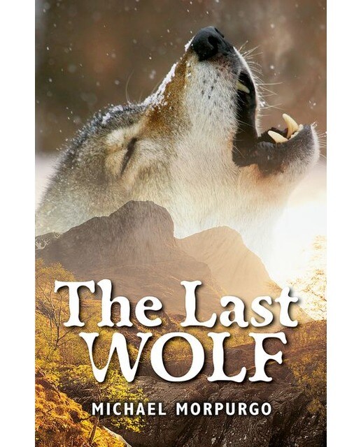 Rollercoasters: The Last Wolf: Michael Morpurgo (Capa mole) 1