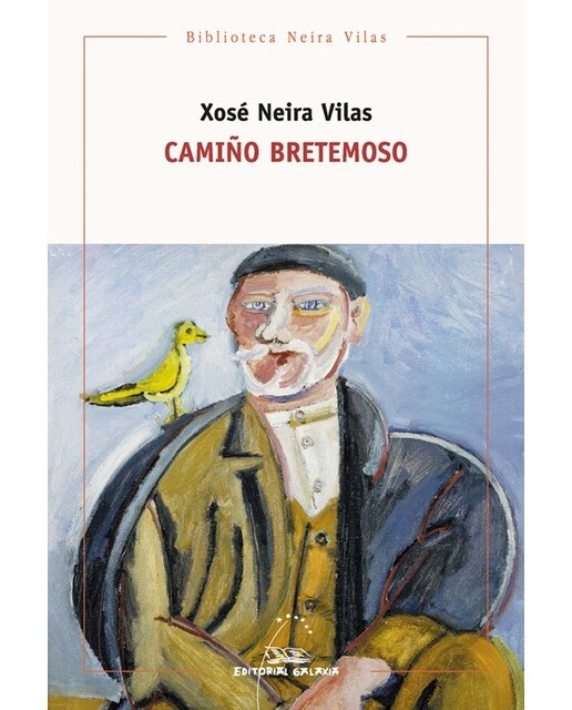 Camiño bretemoso(Tapa blanda) 1
