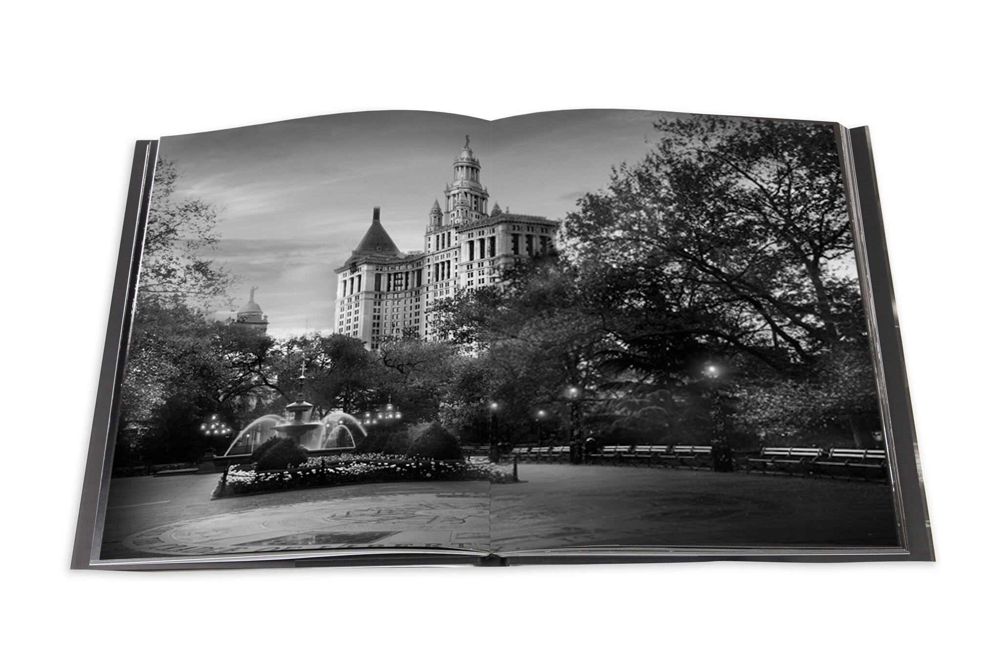 Light of New York (Capa dura) 8