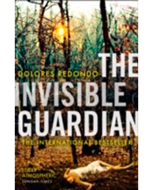 The Baztan Trilogy (1)  The Invisible Guardian 1
