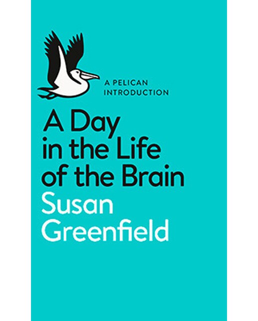 A Day In The Life Of The Brain 1