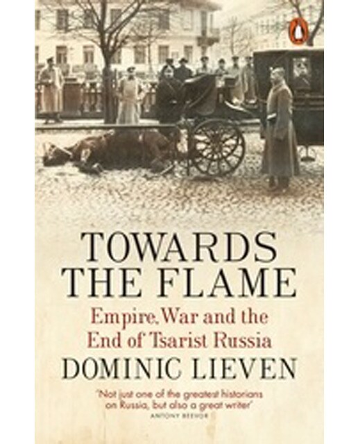 Towards The Flame 1