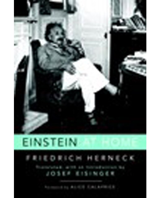 Einstein At Home 1