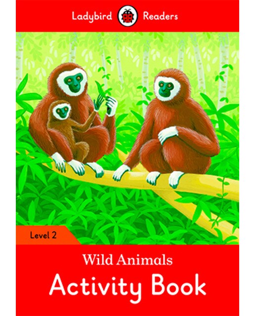 DINOSAURS ACTIVITY BOOK