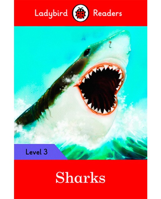SHARKS (LB) (Capa mole) 1