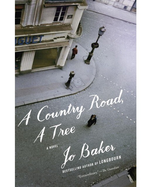 A Country Road A Tree 1