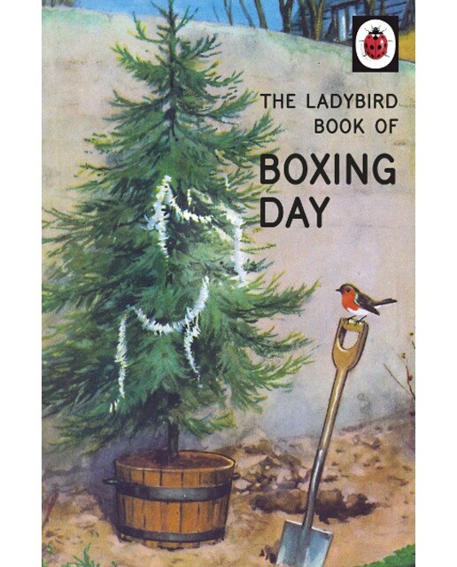 Ladybird Book Of Boxing Day 1