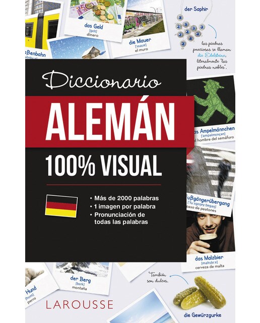 Diccionario de alemán 100% Visual (Capa mole com abas) 1