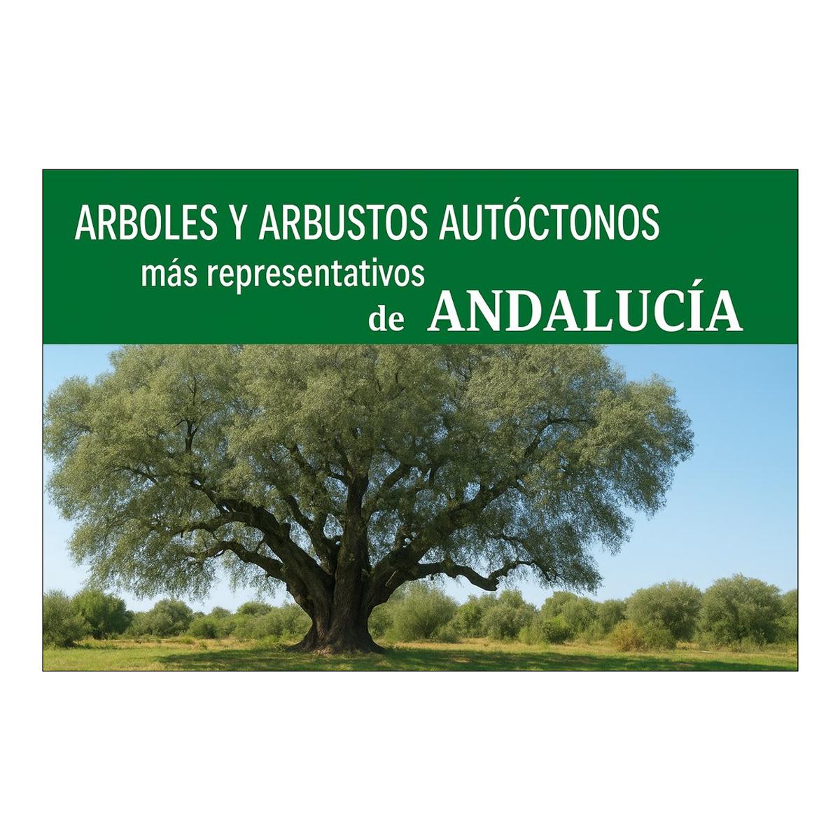 Arboles y arbustos autoctonos mas repres