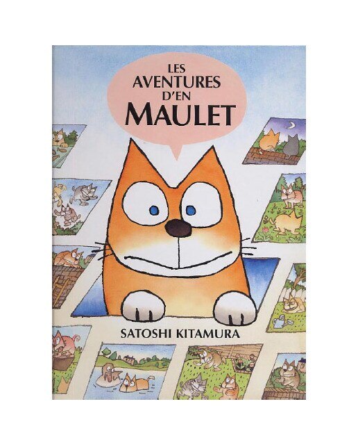 Imagen 0 de Les aventures d'en Maulet