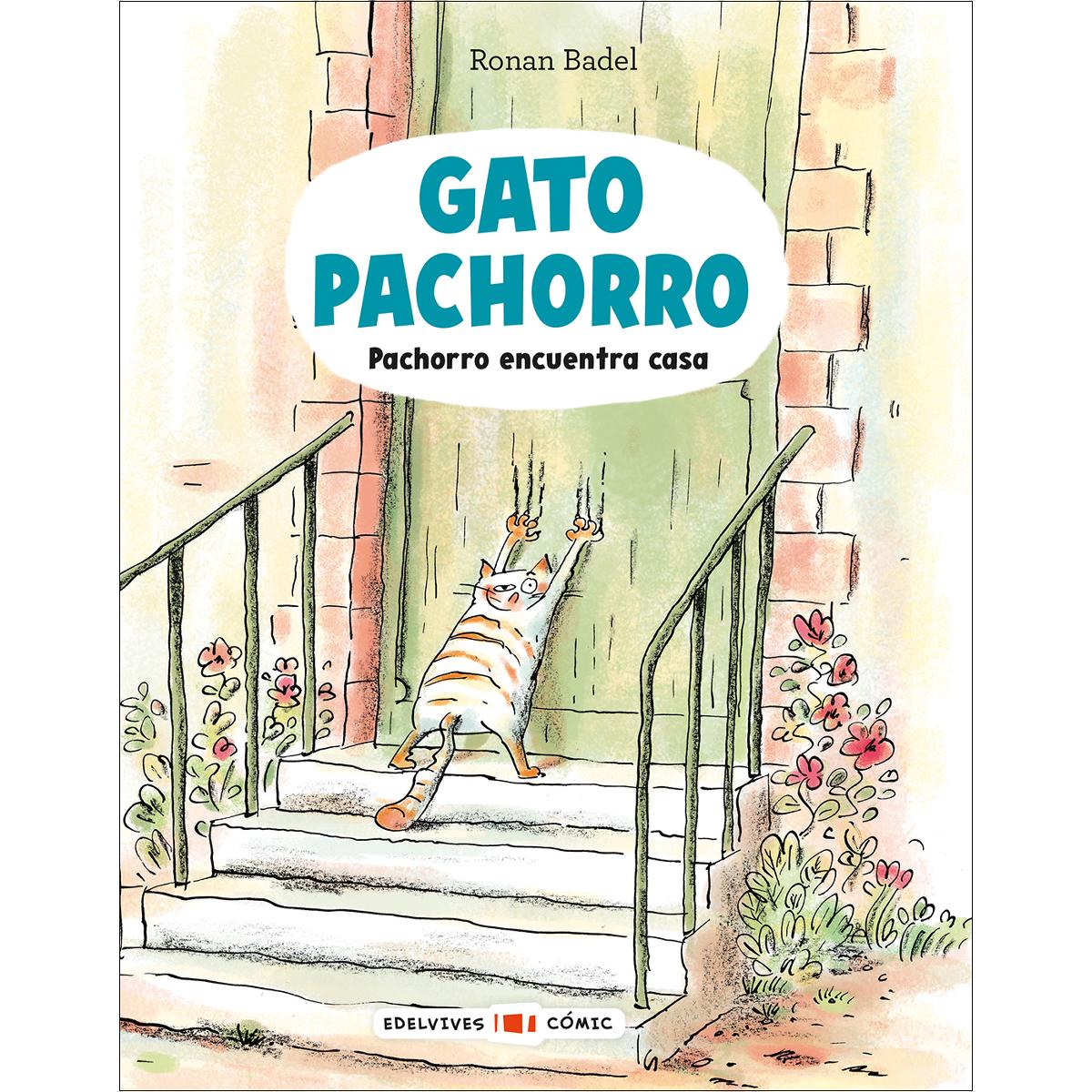 Imagem 0 de Gato Pachorro : Pachorro encuentra casa