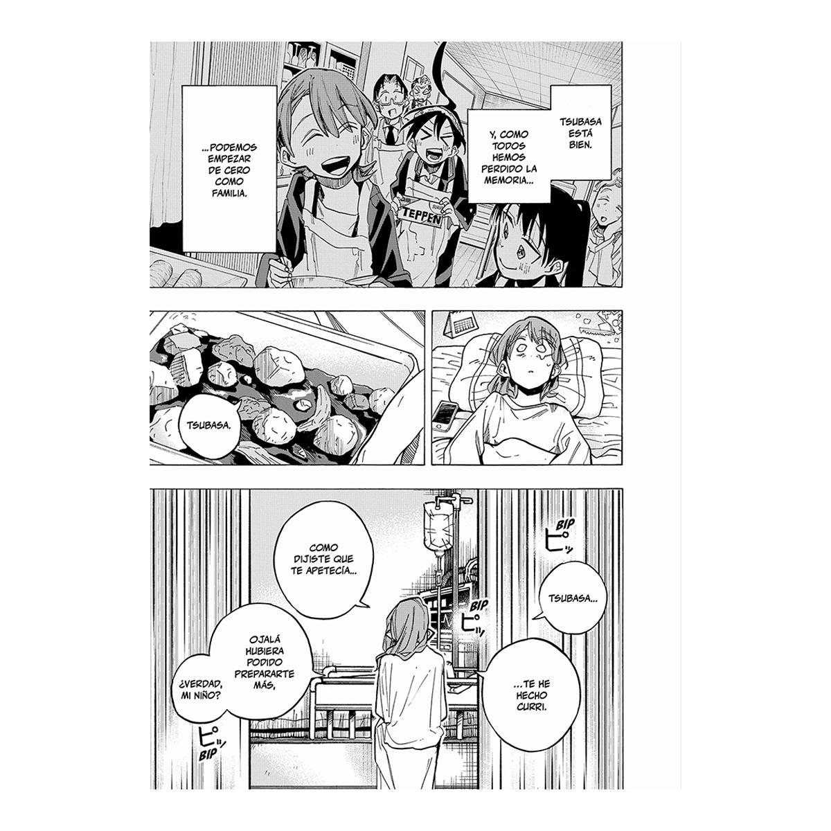 Los pecados de la familia Ichinose 3 (Shônen) (Capa mole) 6