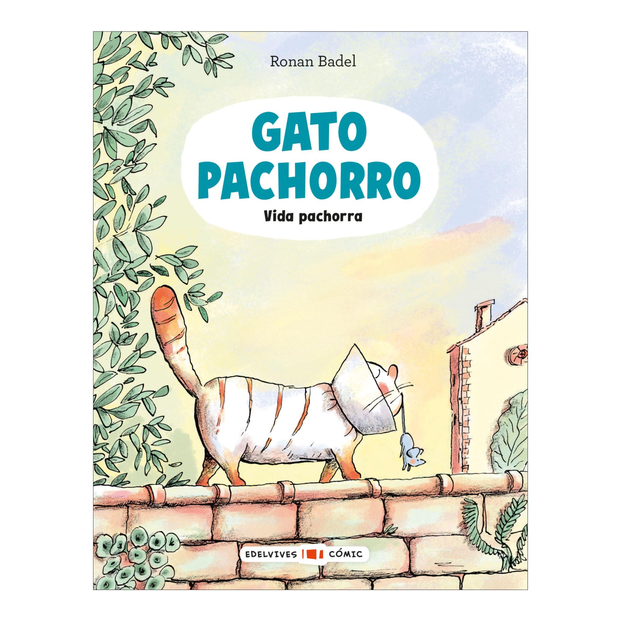 Gato Pachorro. Vida Pachorra 1
