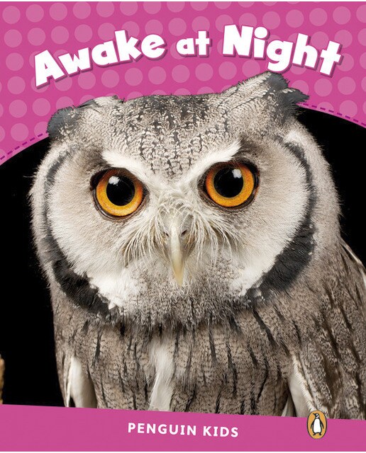 LEVEL 2: AWAKE AT NIGHT CLIL (Capa mole) 1